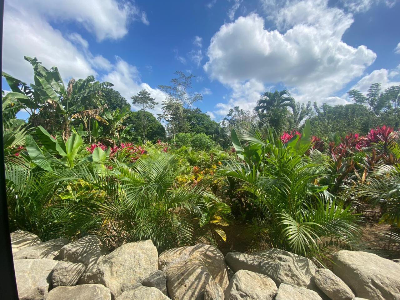 Villa Tanager La Fortuna Exterior photo